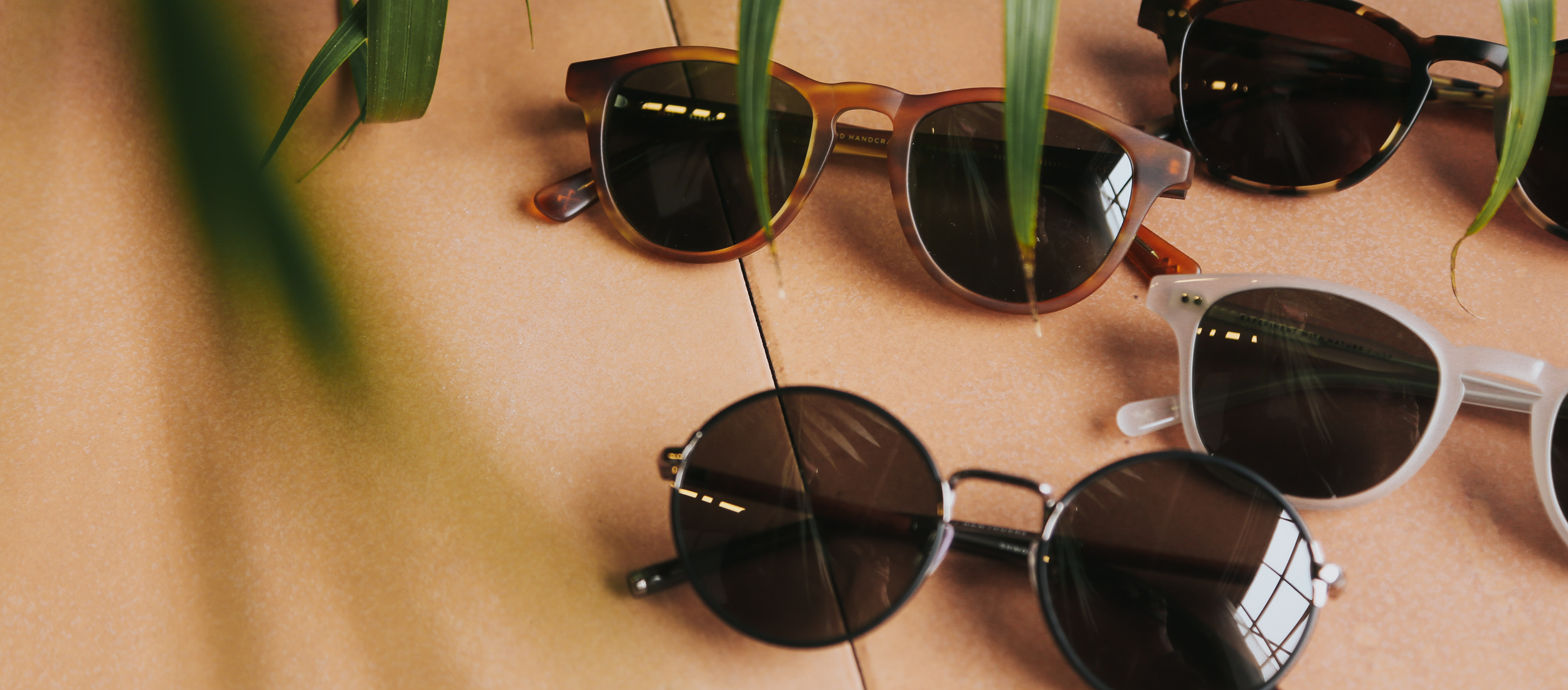 Stylish sunglasses in tortoise, white, and black frames on terracotta tiles with greenery, evoking modern, sun-kissed sophistication.