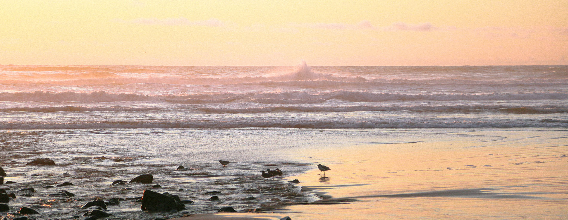 Golden sunset over tranquil beach with gentle waves and seagulls—perfect for summer essentials.