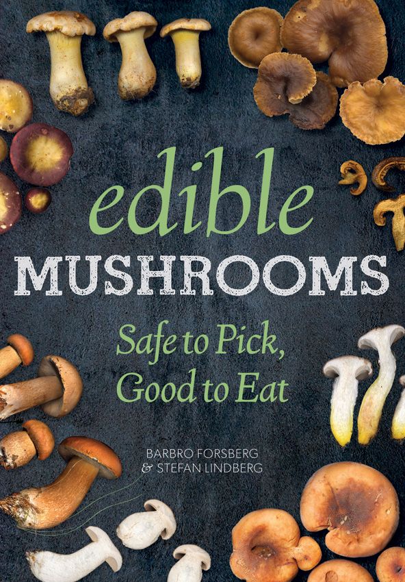 Dark gray mushroom book, titled 'Edible Mushrooms', surrounded by various fungi, top-down view.