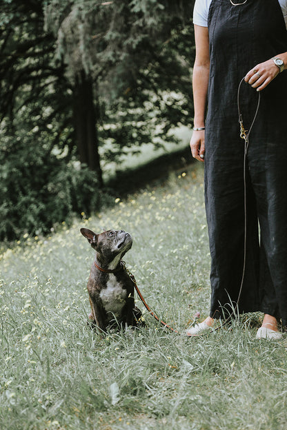 Black convertible canine lead held by a person in a grassy field, attached to a brindle French Bulldog looking up.