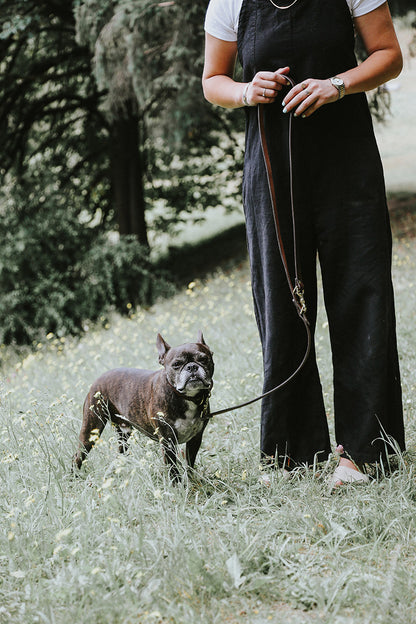 Cognac convertible canine lead with brass hardware, held by a person walking a dark French bulldog in a grassy field.