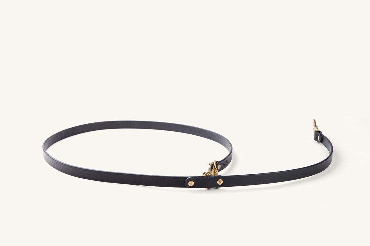 Black convertible canine lead with gold-toned hardware, loosely coiled on a white background.
