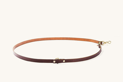 Cognac leather convertible canine lead with brass hardware, laid out in an oval shape.